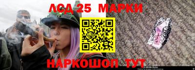 ПСИЛОЦИБИНОВЫЕ ГРИБЫ Долгопрудный