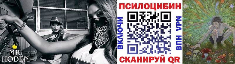 blacksprut сайт  что такое наркотик  Астрахань  Псилоцибиновые грибы мухоморы 